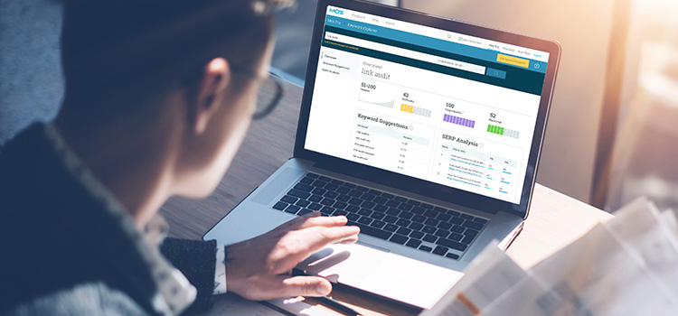 web design, domain authority