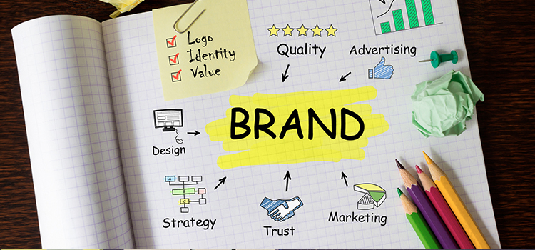 website design, website development