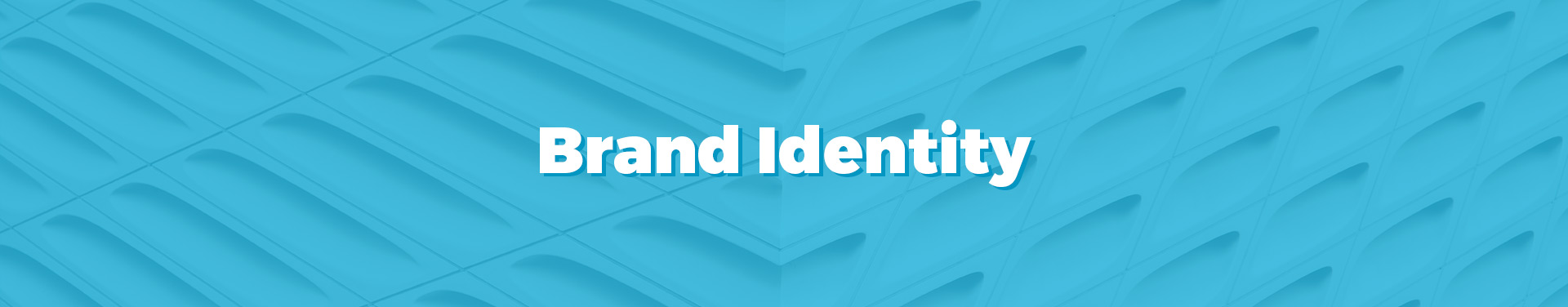 Web Design and Development Company, logo design