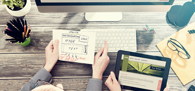 website design, website development