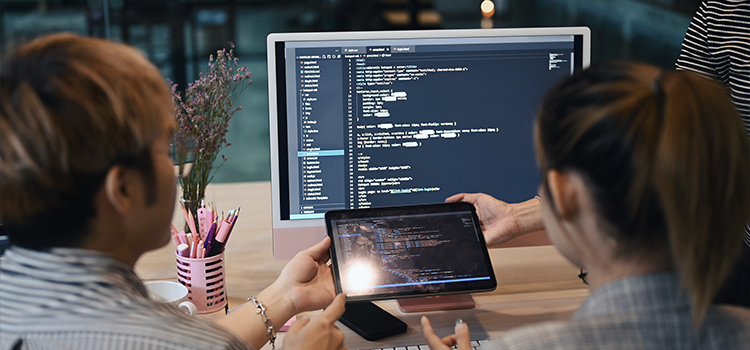 website design, website development