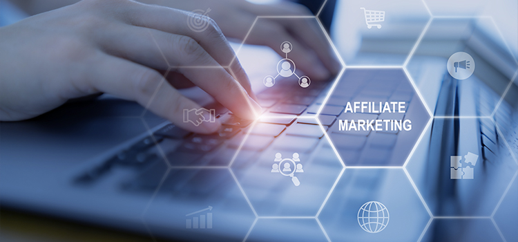 website design, website development